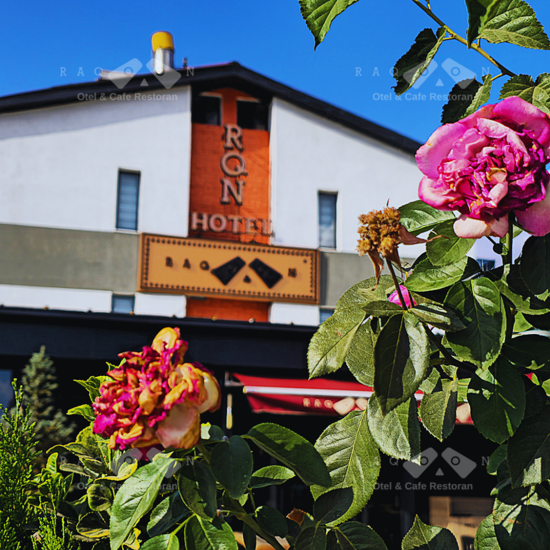 Muş Varto’da Raqoon Hotel’e Nasıl Giderim?